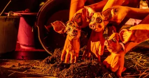 3 PIGS. Cosa è casa - Immagine: 2