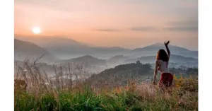 SUN FOLLOWERS - Immagine: 1