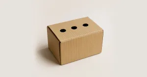 IL RITORNO DEL PICCOLO PRINCIPE - Immagine: 1