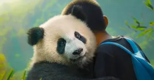 MOON - IL PANDA - Immagine: 2
