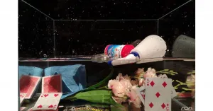 IL CUORE, LA MILZA, IL LAGO - Immagine: 4