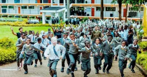 SCHOOL OF LIFE - Immagine: 3