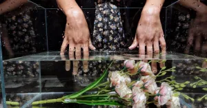 IL CUORE, LA MILZA, IL LAGO - Immagine: 3